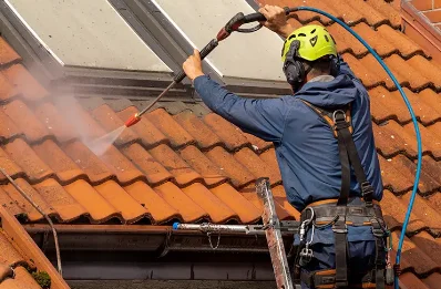 Démoussage et hydrofuge de toiture à Sermoise